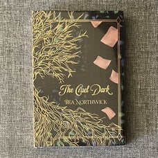 The Cruel Dark by Bea Northwick - Fabled Co Moonlight Sept 2024 selection