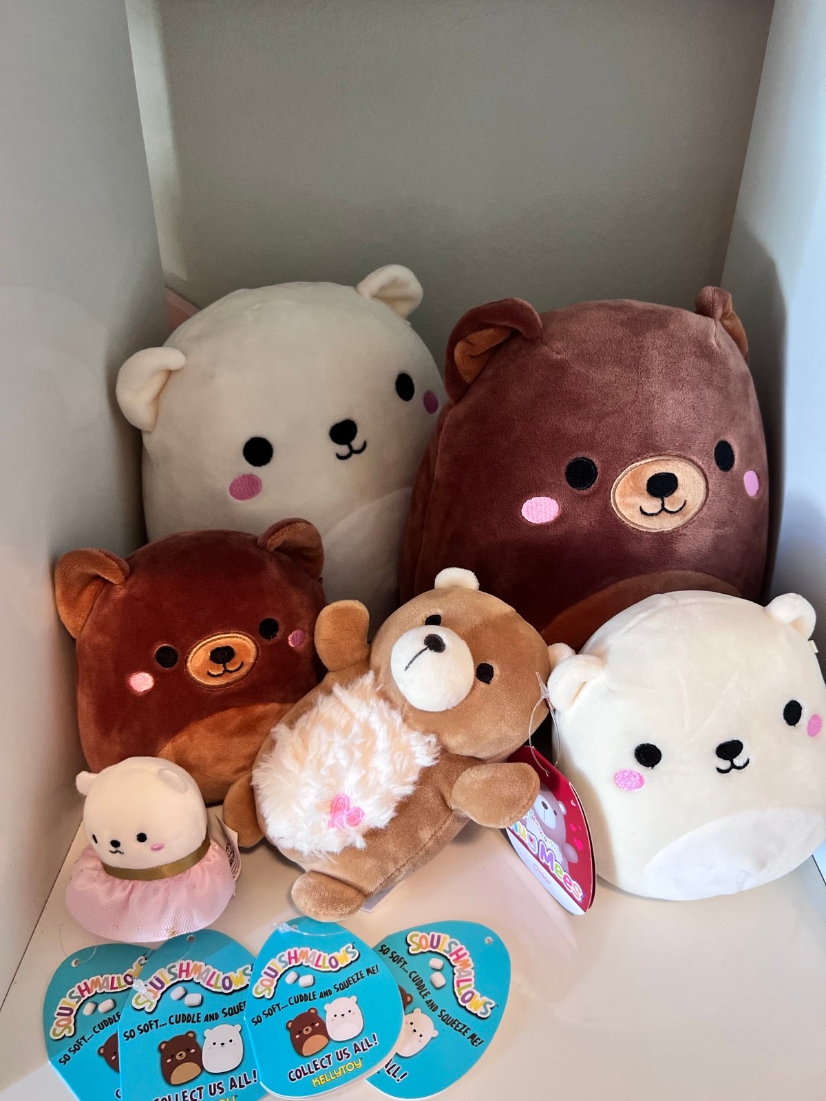 Omar and Brooke the Bear Squishmallow Bundle