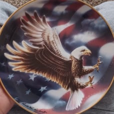 Franklin Mint Wing of Mayesty and The American Eagle collectors plats.