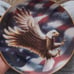 Franklin Mint Wing of Mayesty and The American Eagle collectors plats.