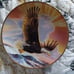 Franklin Mint Wing of Mayesty and The American Eagle collectors plats.