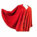 Red Cape **GORGEOUS** Ships Today