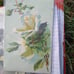 vintage postcards with 1 cent stamp