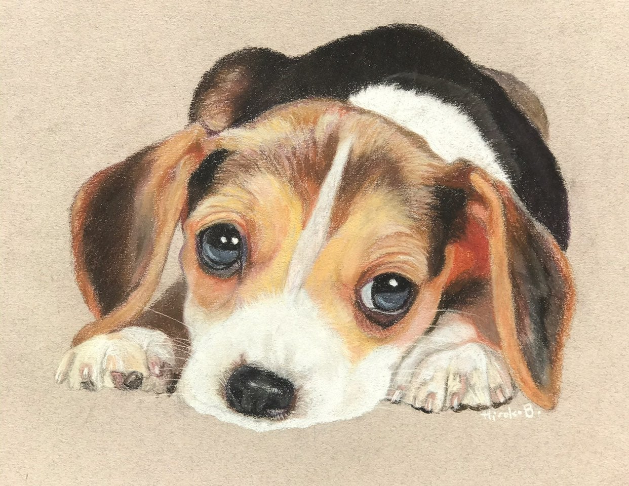 Original pastel drawing of a beagle pupp