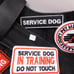 Brand New Tactical Dog Harness with Tags, Service Dog in Training