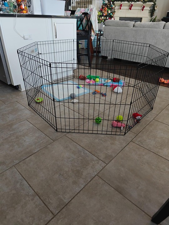 midwest pet pen