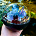 Ryuk deathnote anime terrarium death note