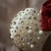 Disney christmas ears
