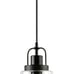 Black Industrial Pendant Light Fixtures,Clear Glass Shade Pendant Lighting,Vinta