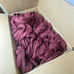 Burgundy Table Runners (16)