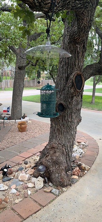 Metal Wild Bird Feeders for Outdoors Hanging, 7Lb High Capacity Squirrel Proof B