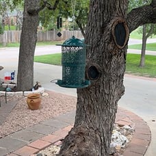 Metal Wild Bird Feeders for Outdoors Hanging, 7Lb High Capacity Squirrel Proof B