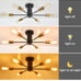 Modern Sputnik Chandeliers,6 Light Ceiling Light Fixture,Black and Gold Semi Flu