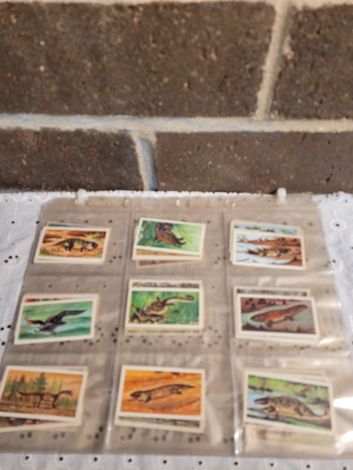 Vintage Brooke Bonde Prehistoric Animals Tea And Tea Bags Full Of Set 50 Cards