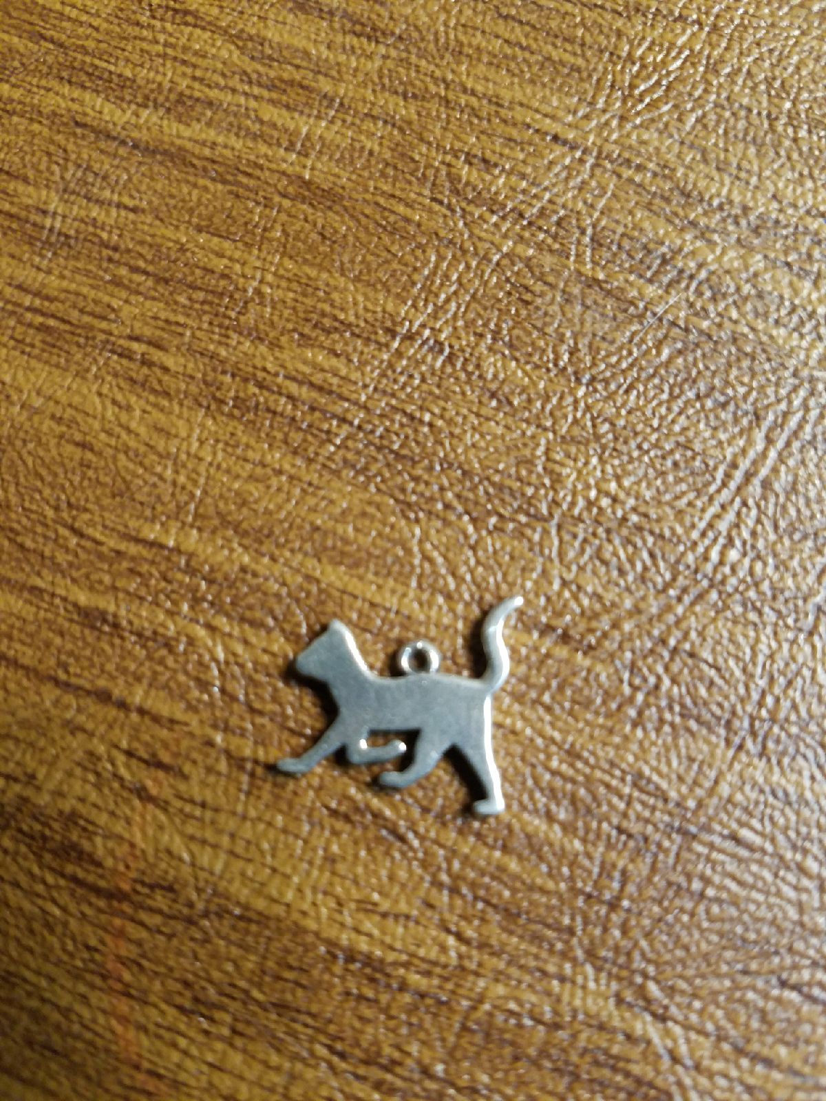 charm Cat #99