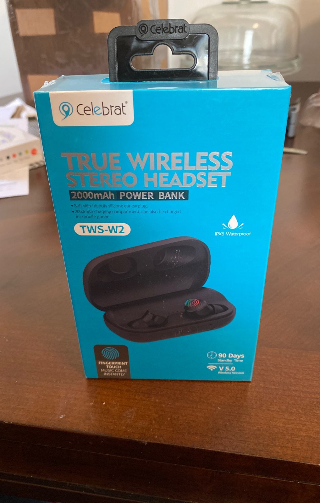 True wireless stereo headset