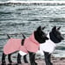 Finland Paikka dog visibility raincoat chihuahua, yorkshire terrier 20cm