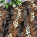 Faux Fur Throw Blanket Heavy Warm Soft for Adults Gift
