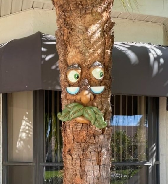 Tree Faces Decor Outdoor – Tree Hugger Yard Art Garden Decoration – Unique Bird