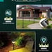 2 outdoor solar lights