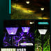 2 outdoor solar lights