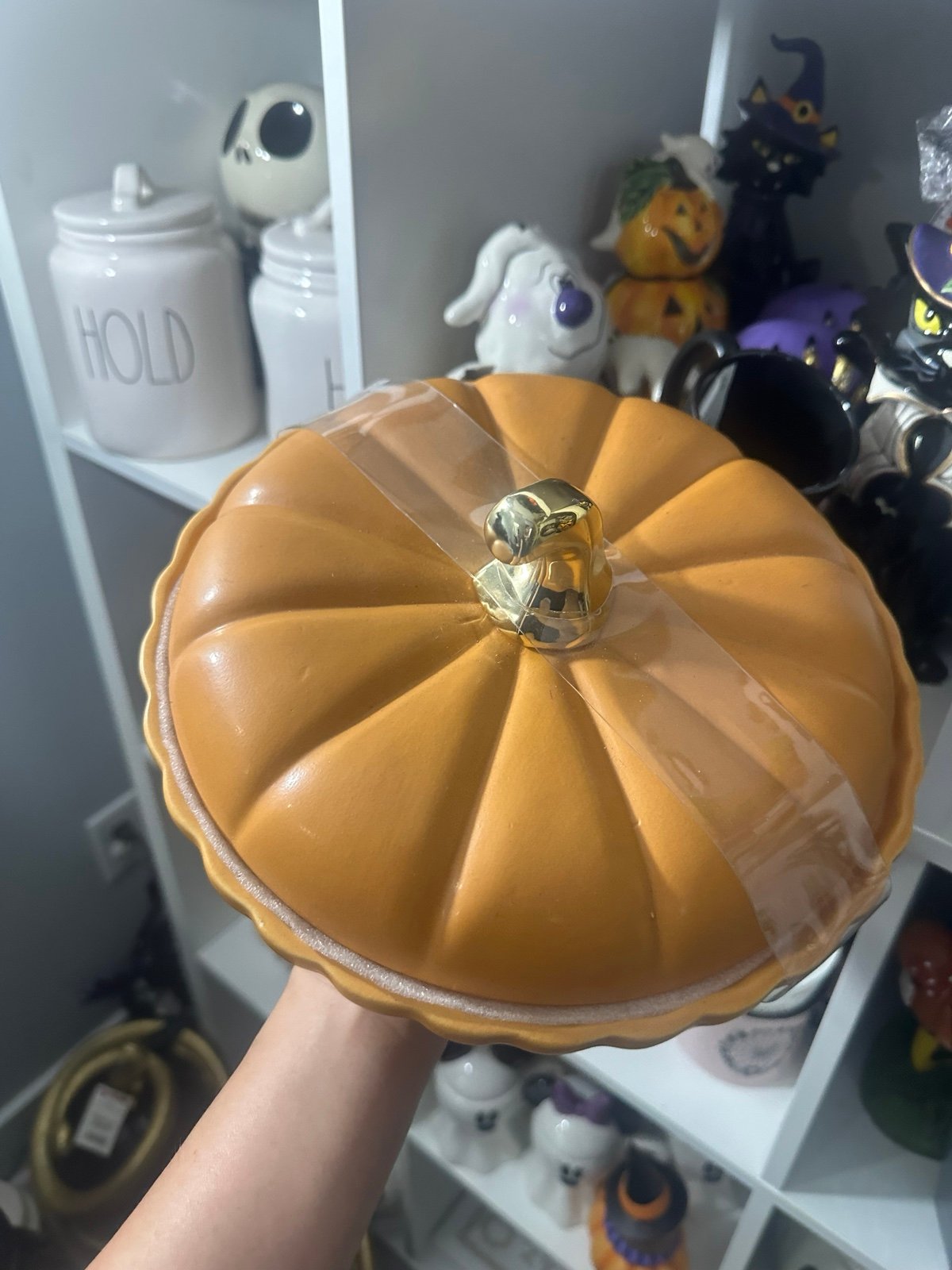 Fall Autumn pumpkin casserole with lid
