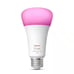 100-Watt Smart LED Color Changing Light Bulb