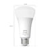 100-Watt Smart LED Color Changing Light Bulb