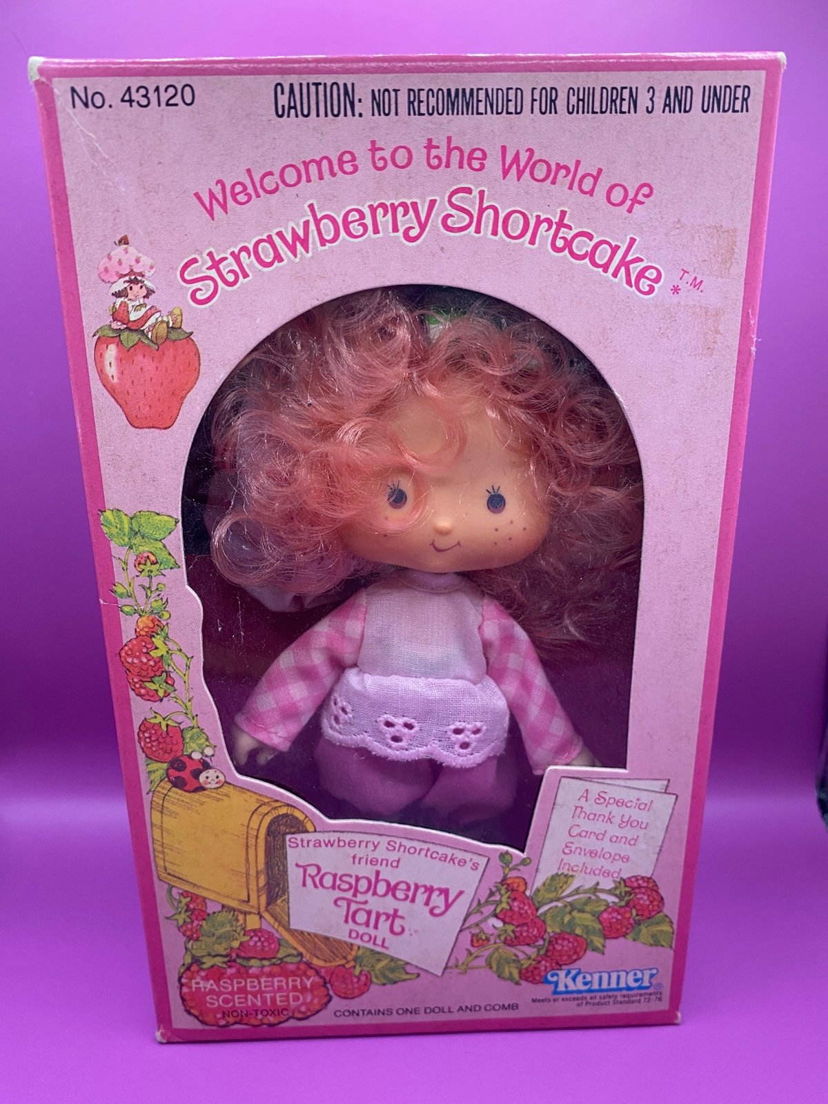 Vintage 1st Edition Strawberry Shortcake Rasperry Tart Doll Mint in Box