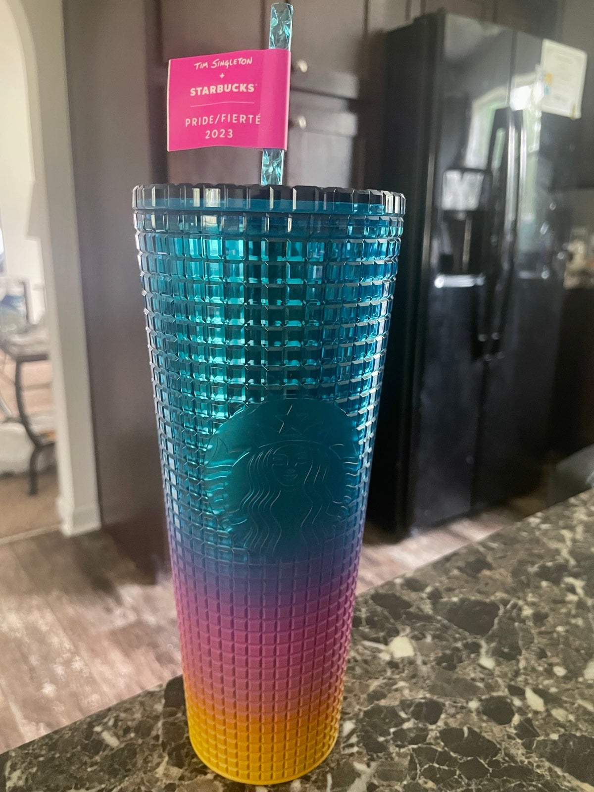 NEW 2023 LE Starbucks X Tim Singleton Pride Grid Gradient Ombre Tumbler
