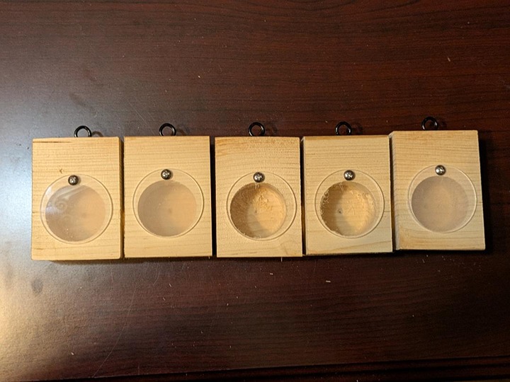 5 Carpenter Bee Traps, - called the Picture Window traps Plus FREE SHIPPING!