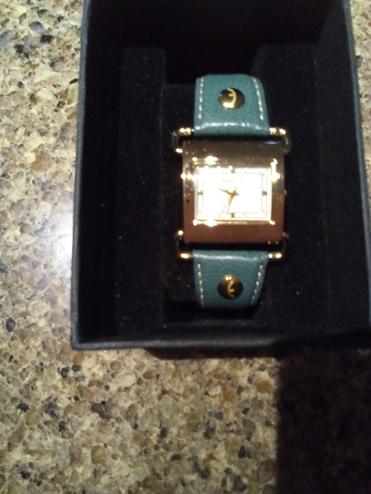 Ecclissi Women's Watch