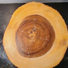Large Rustic Serving Tray Tree Slab Cake or Cupcake Dessert Stand 13 inches
