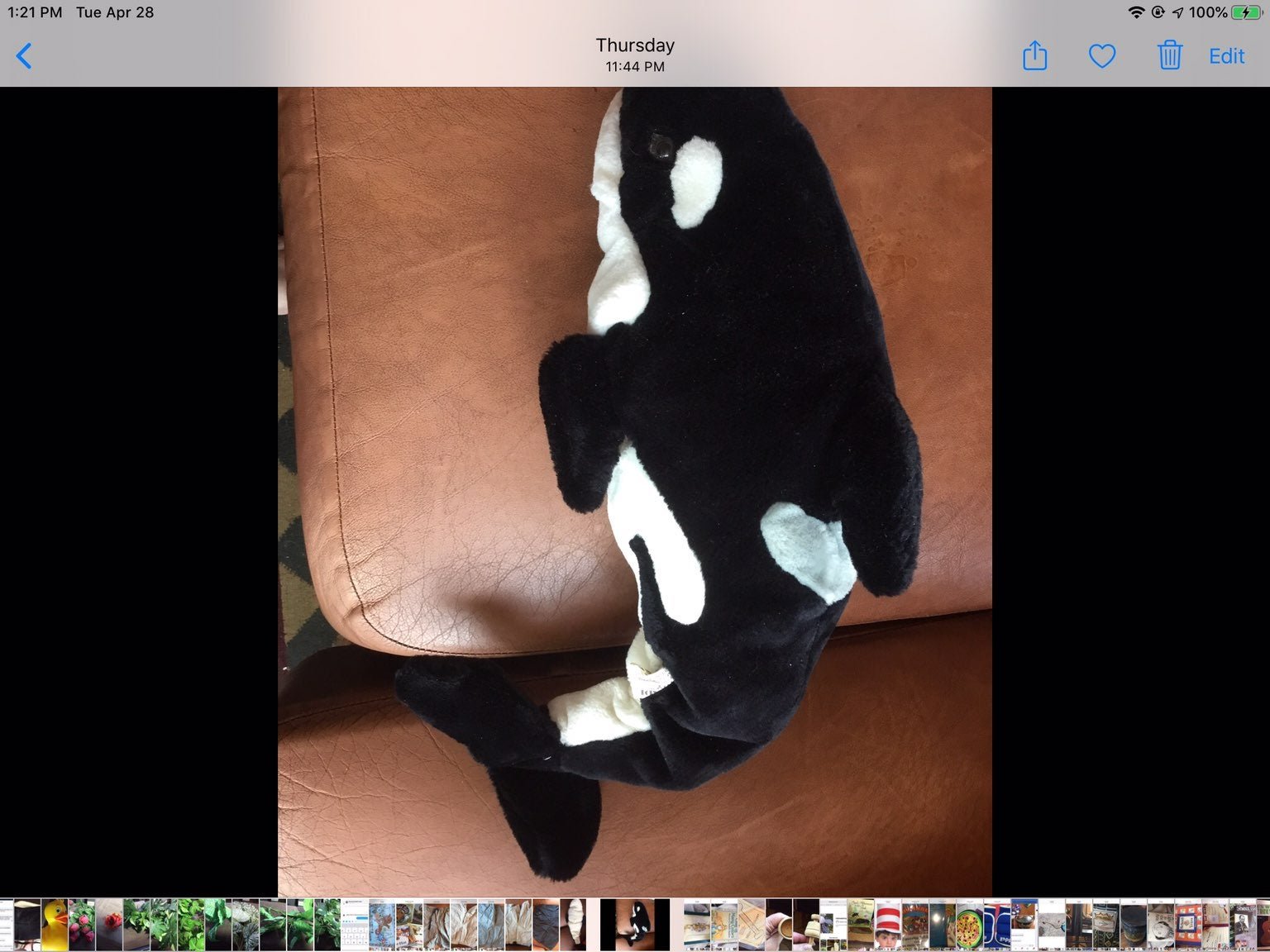 Large whale puppet