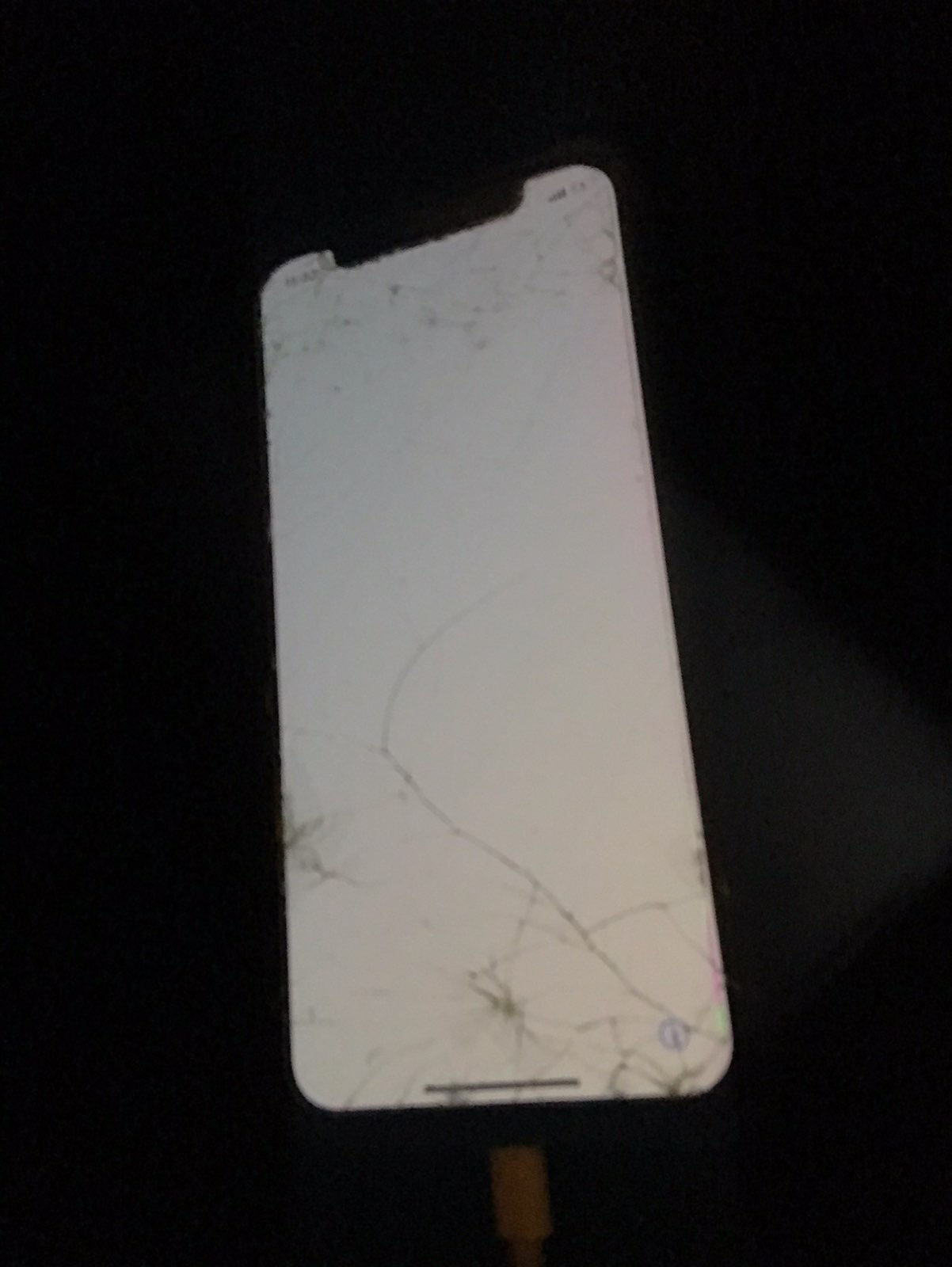 iPhone X
