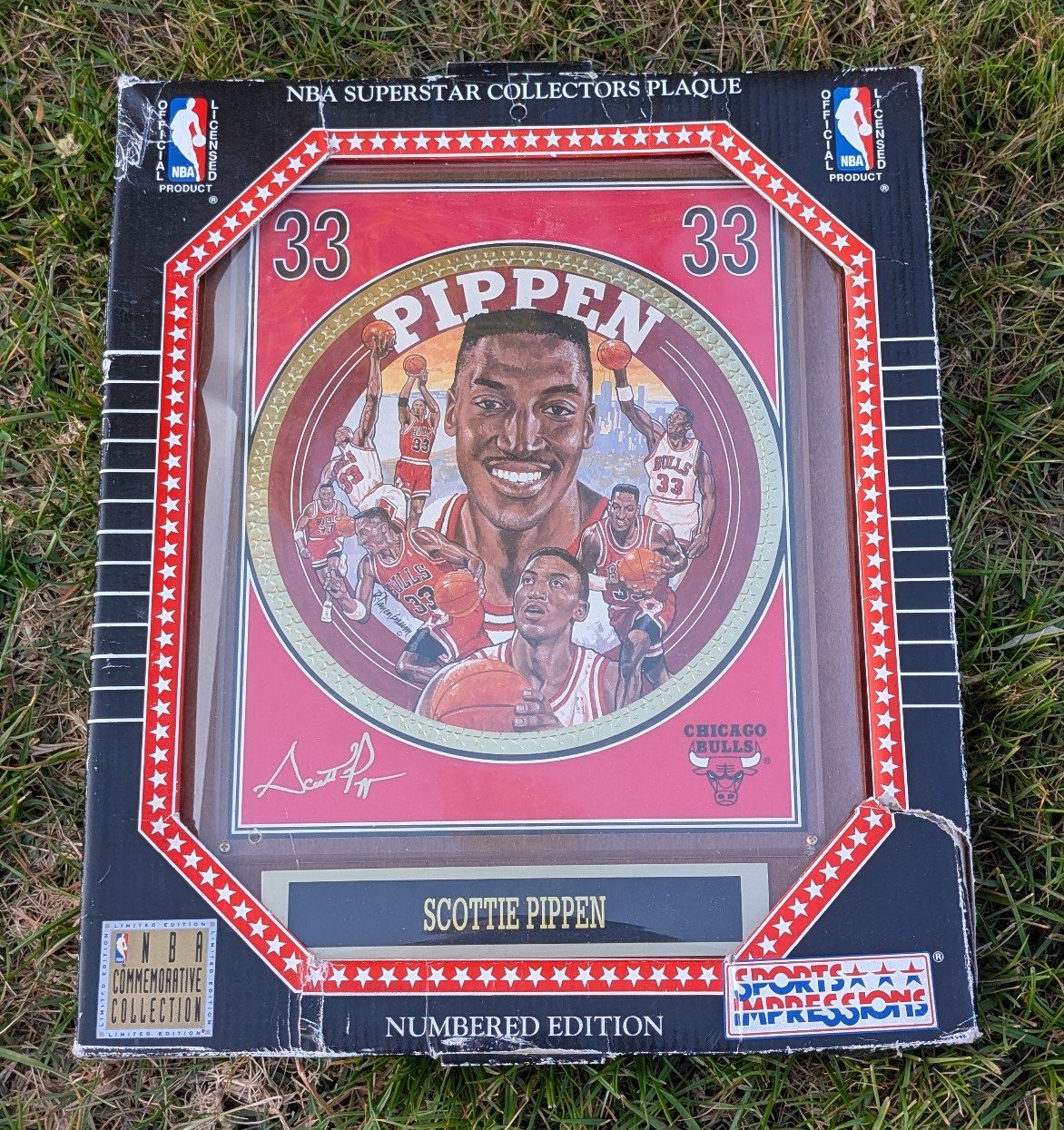 1993 Scottie Pippen HOF NBA Superstar Collector's Plaque - Limited Edition COA