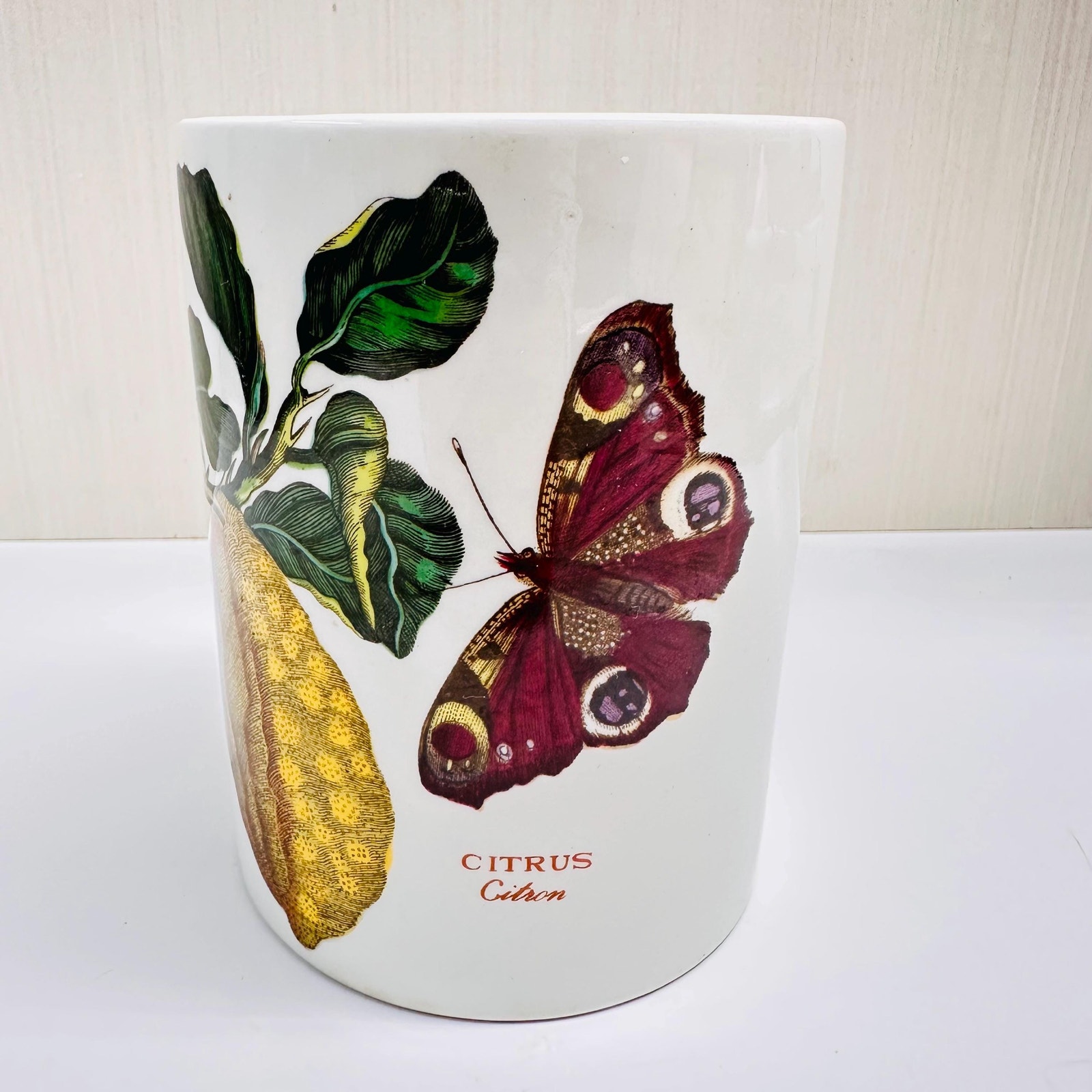 Vintage Vase Portmeirion The Botanic Garden Citrus Citron Ceramic Vase Canister
