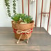 Faux Succulent