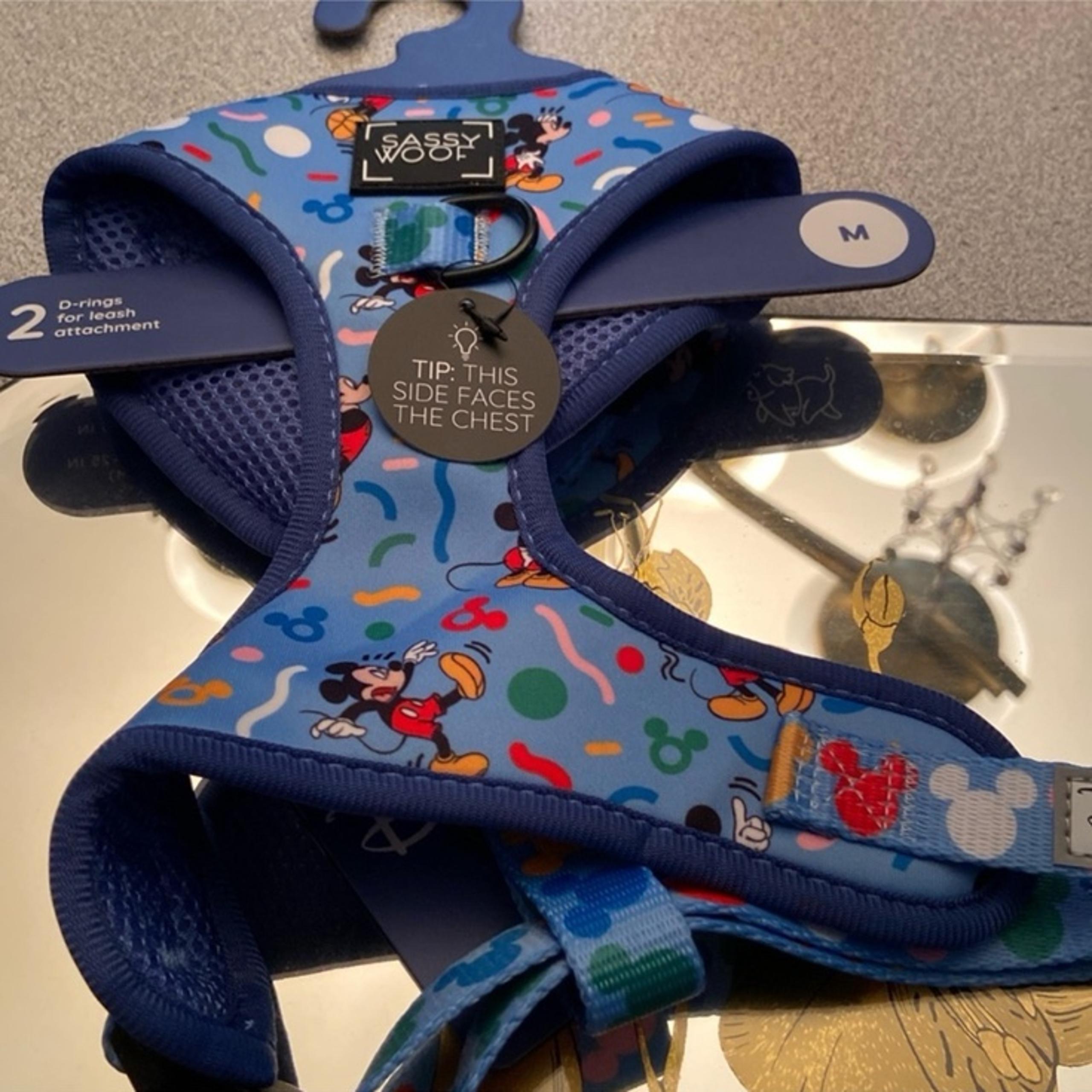 Dog Harness