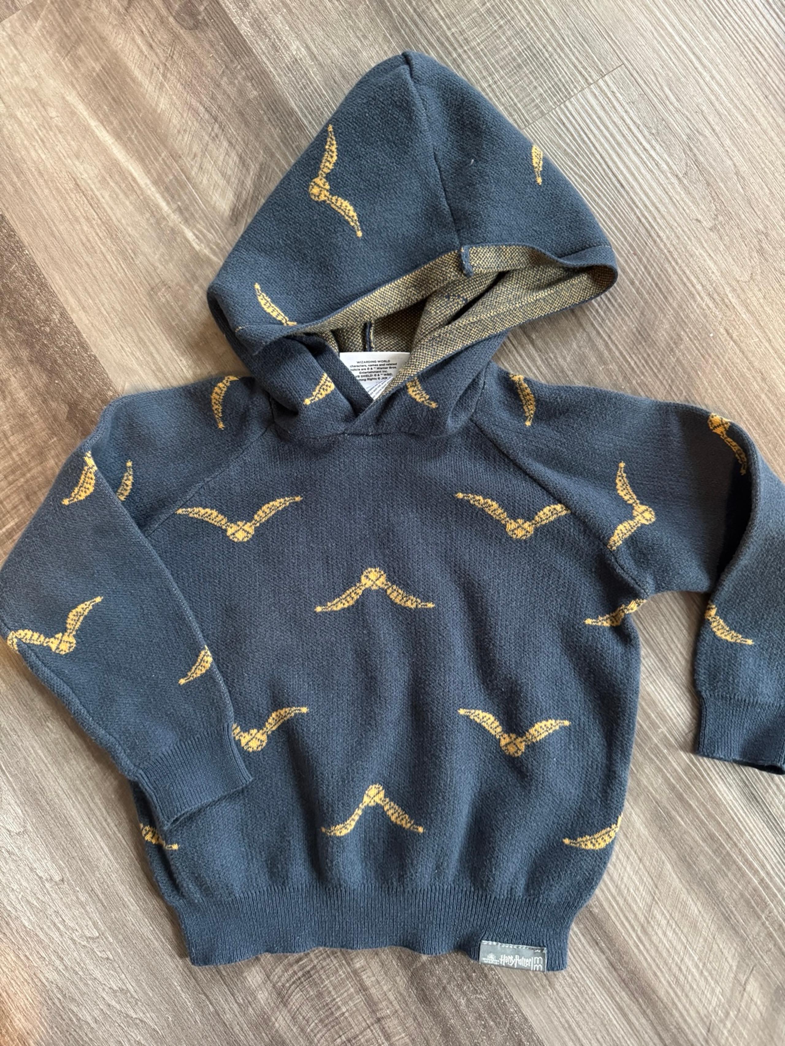 Modern Moments HARRY POTTER Knit Hooded Sweater