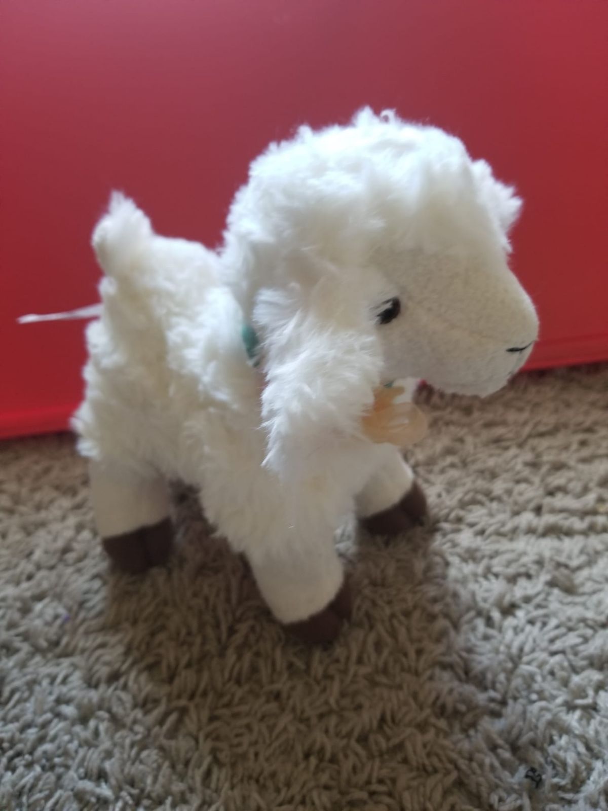 American girl Blaire pet