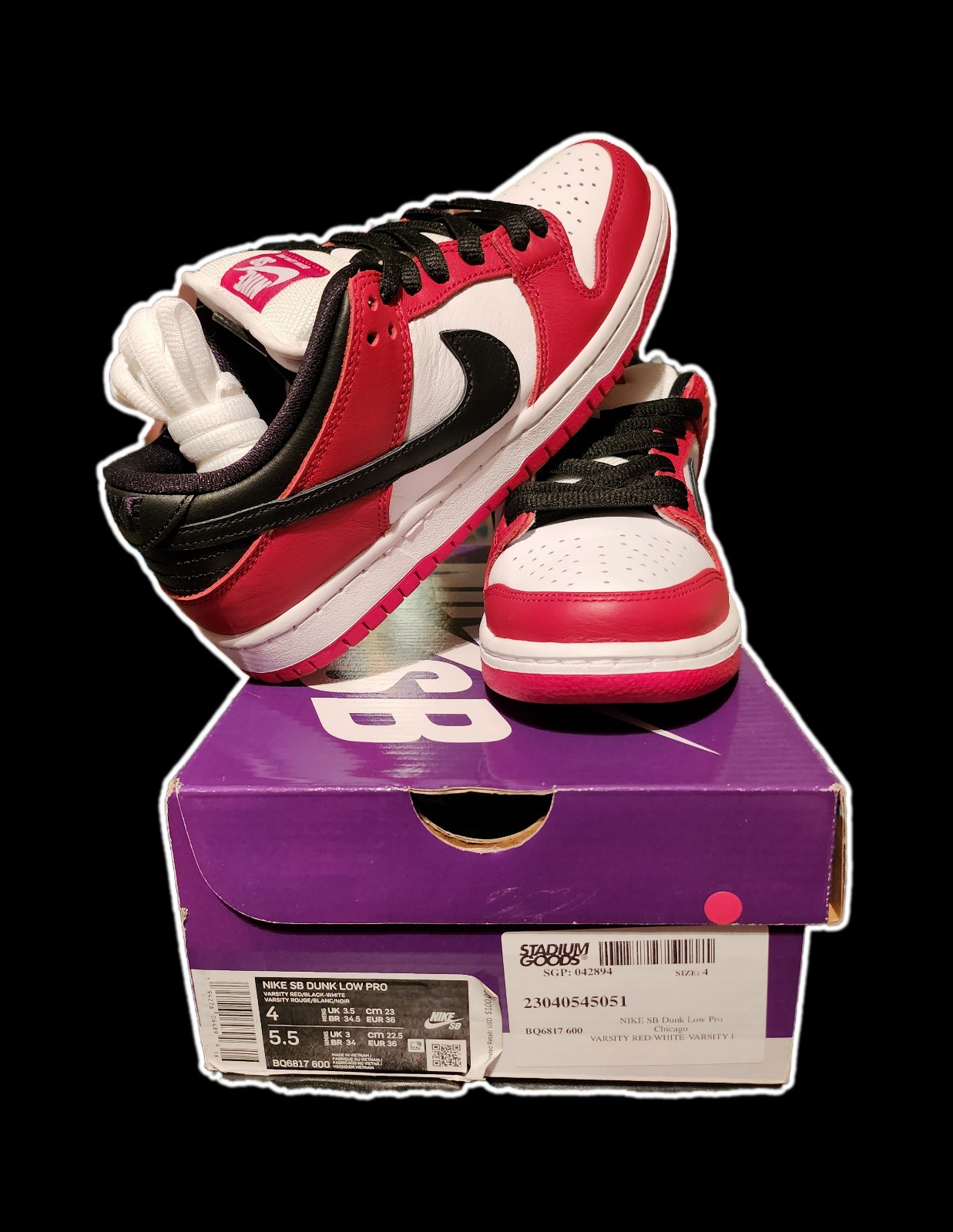 Nike SB Dunk Low Pro Varsity Red and Black