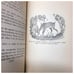 Bambi 1929 Hardcover Antique Book by Felix Salten 1st English Edition Grosset