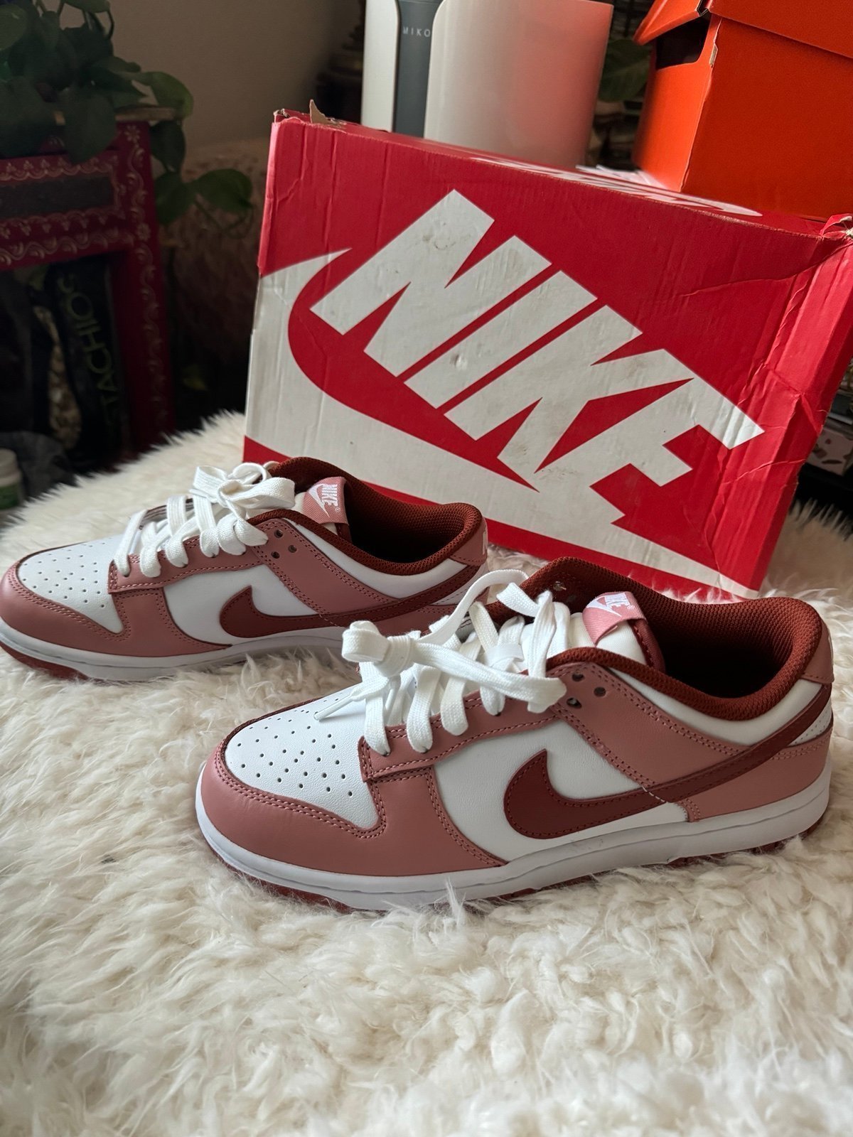 Nike Dunk Low Shoes. NWOT!