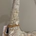 TikTok Viral white shell purse
