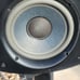 Bose 301.Series V Direct/Reflecting speaker system