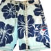 Abercrombie and Fitch shorts