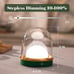 Night Light Modern Rechargeable Lamp for Bedroom, 3 Color Stepless Dimming Up