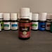 Young Living Essential Oils Bundle