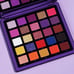 Anastasia Beverly Hills Mini NORVINA Pro